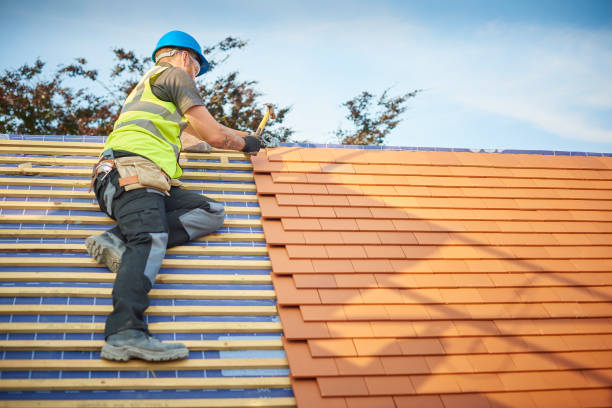 Best Metal Roofing Installation  in Rockwood, VA